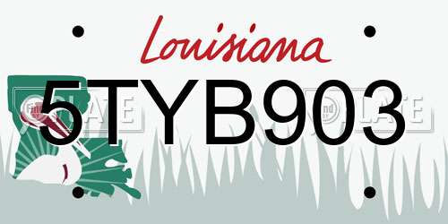 5TYB903 Louisiana License Plate