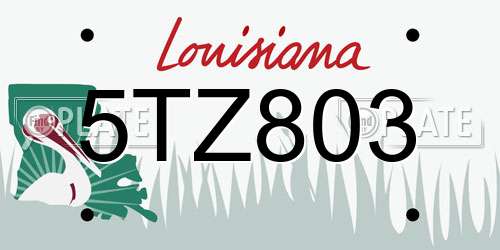 5TZ803 Louisiana License Plate
