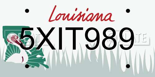 5XIT989 Louisiana License Plate