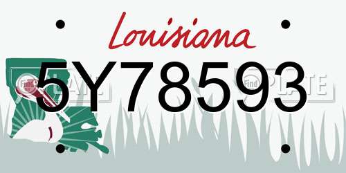 5Y78593 Louisiana License Plate