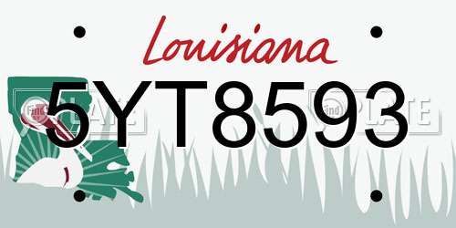 5YT8593 Louisiana License Plate