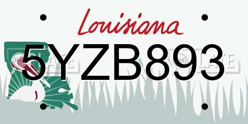 5YZB893 Louisiana License Plate