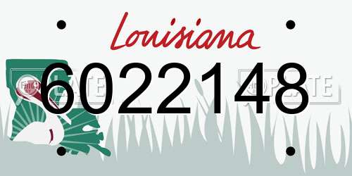 6022148 Louisiana License Plate