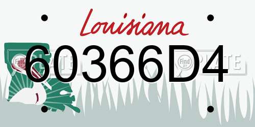 60366D4 Louisiana License Plate