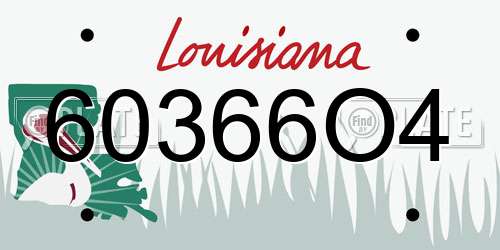 60366O4 Louisiana License Plate