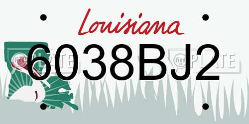 6038BJ2 Louisiana License Plate