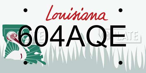 604AQE Louisiana License Plate