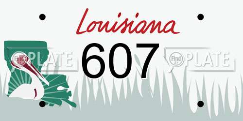 607 Louisiana License Plate