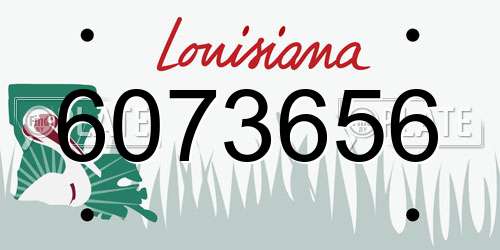 6073656 Louisiana License Plate