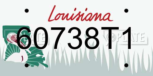 60738T1 Louisiana License Plate