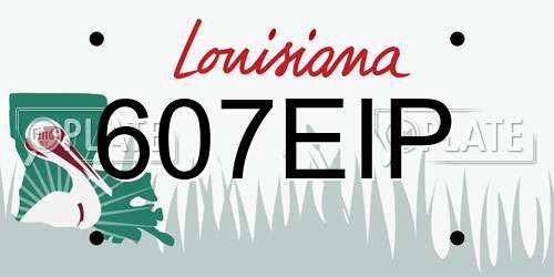 607EIP Louisiana License Plate