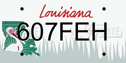 607FEH Louisiana License Plate
