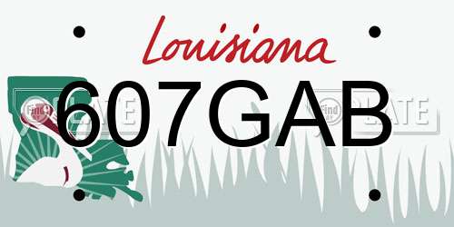 607GAB Louisiana License Plate