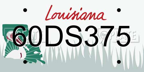 60DS375 Louisiana License Plate