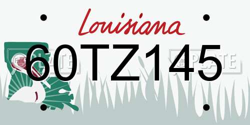 60TZ145 Louisiana License Plate
