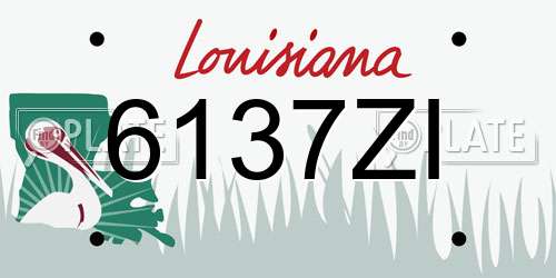 6137ZI Louisiana License Plate