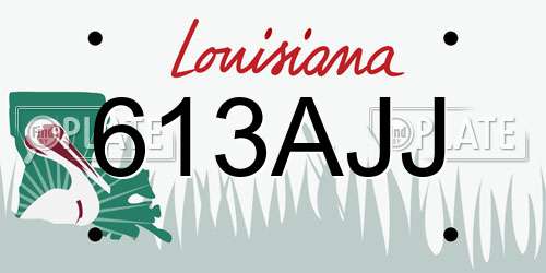 613AJJ Louisiana License Plate