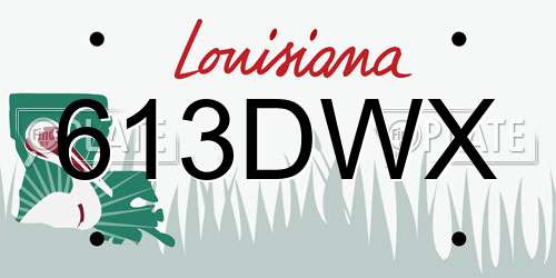 613DWX Louisiana License Plate