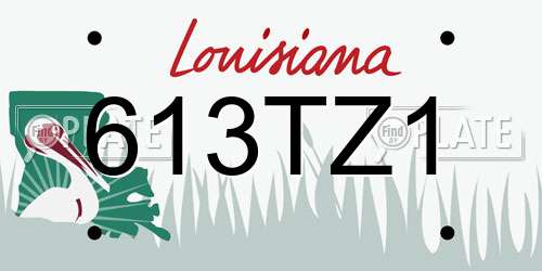 613TZ1 Louisiana License Plate
