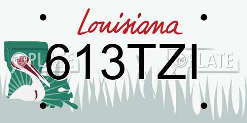 613TZI Louisiana License Plate