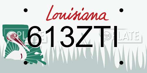 613ZTI Louisiana License Plate