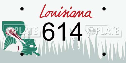 614 Louisiana License Plate