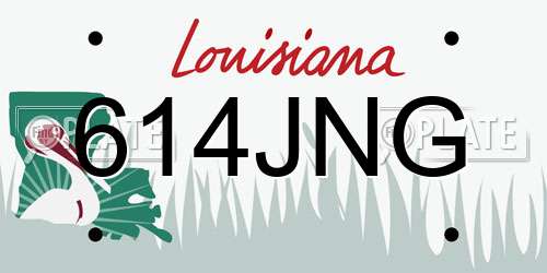 614JNG Louisiana License Plate