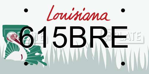 615BRE Louisiana License Plate