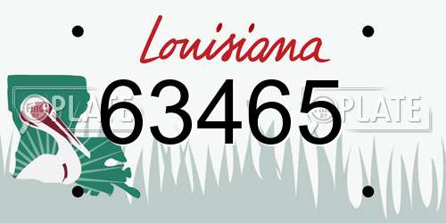 63465 Louisiana License Plate