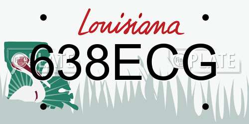 638ECG Louisiana License Plate