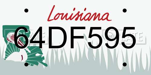 64DF595 Louisiana License Plate
