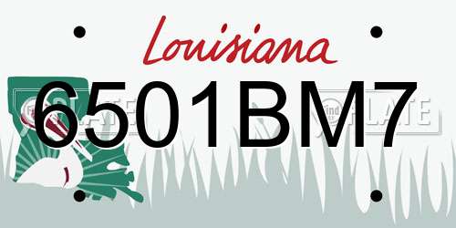 6501BM7 Louisiana License Plate