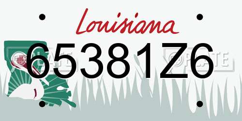 65381Z6 Louisiana License Plate