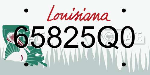 65825Q0 Louisiana License Plate