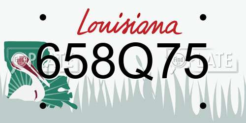 658Q75 Louisiana License Plate