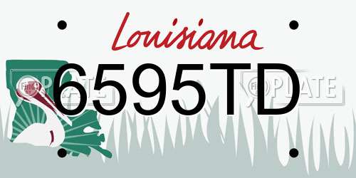 6595TD Louisiana License Plate