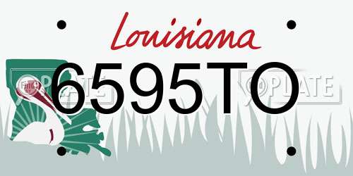 6595TO Louisiana License Plate