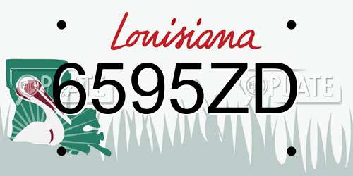 6595ZD Louisiana License Plate