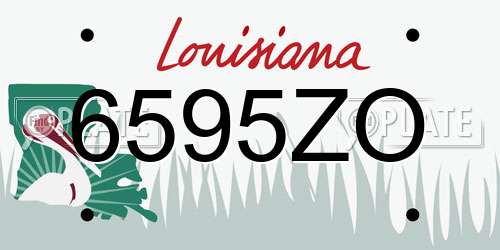 6595ZO Louisiana License Plate