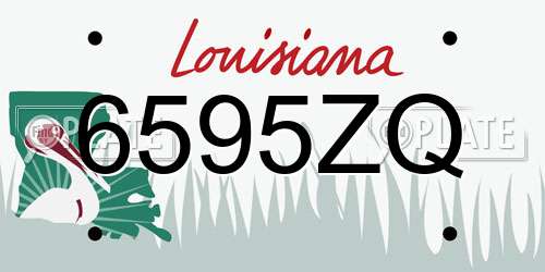 6595ZQ Louisiana License Plate