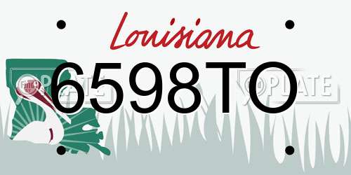 6598TO Louisiana License Plate