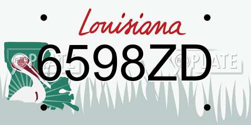 6598ZD Louisiana License Plate