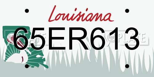65ER613 Louisiana License Plate
