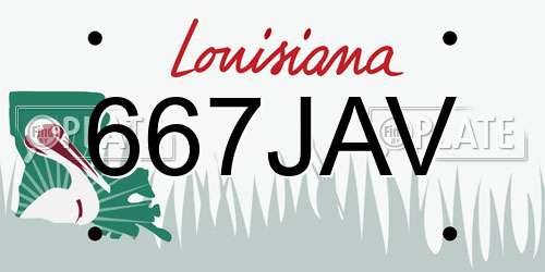 667JAV Louisiana License Plate