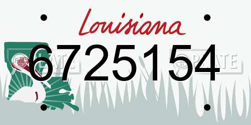 6725154 Louisiana License Plate