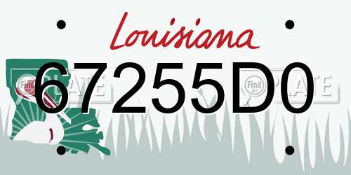67255D0 Louisiana License Plate