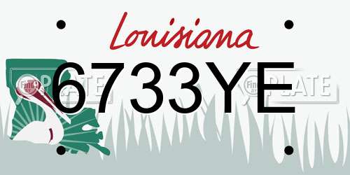 6733YE Louisiana License Plate