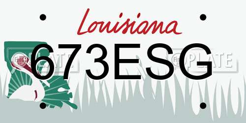 673ESG Louisiana License Plate