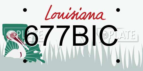 677BIC Louisiana License Plate