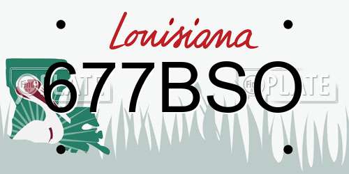 677BSO Louisiana License Plate
